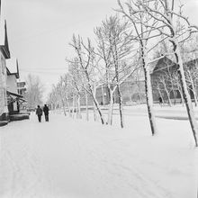В старом городе | Виды города. 1975 г., г.Северодвинск. Фото #C1754.