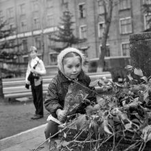 Возложение цветов к памятнику В.И.Ленину | Общественная жизнь. 1975 г., г.Северодвинск. Фото #C1706.