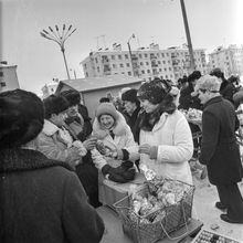 Уличная торговля | Торговля. 1976 г., г.Северодвинск. Фото #C14551.