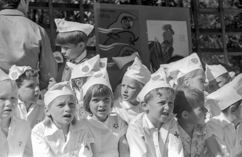 Участники | Школа. 1978 г., г.Северодвинск. Фото #C13018.