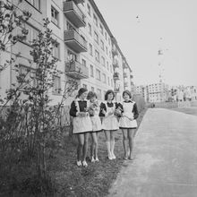 Старшеклассницы | Школа. 1978 г., г.Северодвинск. Фото #C7134.