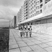 Старшеклассницы | Школа. 1978 г., г.Северодвинск. Фото #C6155.