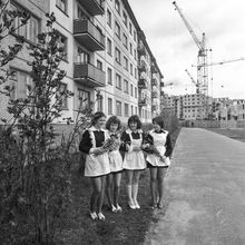 Старшеклассницы | Школа. 1978 г., г.Северодвинск. Фото #C7280.