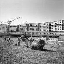 Строится круговой дом | Строительство. 1978 г., г.Северодвинск. Фото #C6150.