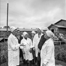 Свиноводческий комплекс | Предприятия. 1978 г., г.Северодвинск. Фото #C14184.