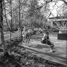 дети катаются на каруселях в городском парке | Культура. 1979 г., г.Северодвинск. Фото #C417.