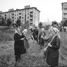 работники ЖКХ на покосе газонов | ЖКХ. 1979 г., г.Северодвинск. Фото #C475.