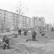 Озеленение нового района | ЖКХ. 1979 г., г.Северодвинск. Фото #C477.