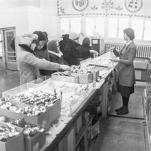 елочный базар | Торговля. 1979 г., г.Северодвинск. Фото #C338.