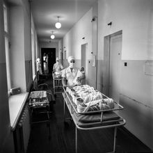 Новорожденные | Медицина. 1979 г., г.Северодвинск. Фото #C14130.