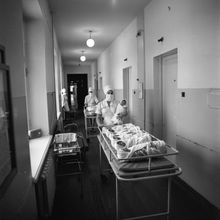 медсестра роддома развозит детей на кормление в палаты к матерям | Медицина. 1979 г., г.Северодвинск. Фото #C723.