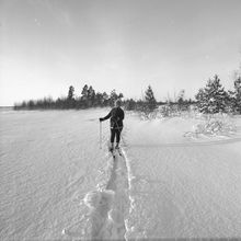 женщина на лыжной прогулке | Спорт. 1979 г., г.Северодвинск. Фото #C899.