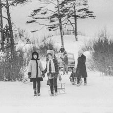 Зимний день в Ягринском бору | Виды города. 1979 г., г.Северодвинск. Фото #C2794.