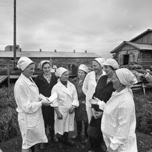 свинарки в подсобном хозяйстве одного из предприятий города | Предприятия. 1979 г., г.Северодвинск. Фото #C1027.