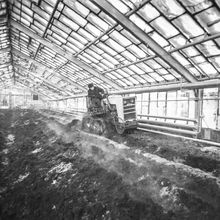 пахота мини-трактором в теплице | Предприятия. 1979 г., г.Северодвинск. Фото #C1079.