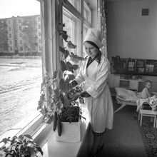 Горожане. 1980 г., г.Северодвинск. Фото #C16930.