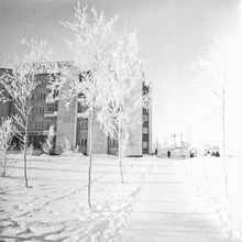 Зима | Виды города. 1980 г., г.Северодвинск. Фото #C15776.