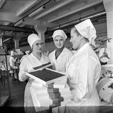 Линия по производству конфет | Предприятия. 1980 г., г.Северодвинск. Фото #C4749.