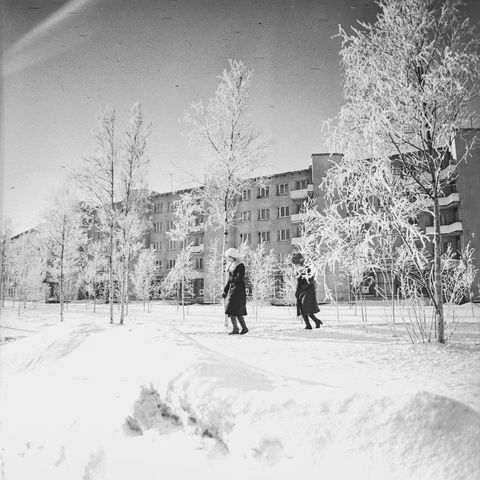 Зима | Виды города. 1980 г., г.Северодвинск. Фото #C16155.