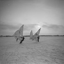 Виндсерфингисты на льду | Спорт. 1982 г., г.Северодвинск. Фото #C14685.