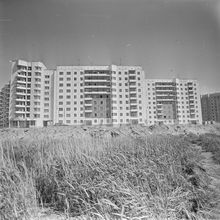 Новый дом | Виды города. 1982 г., г.Северодвинск. Фото #C14704.