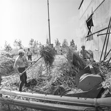 Уборка травы | ЖКХ. 1983 г., г.Северодвинск. Фото #C11872.