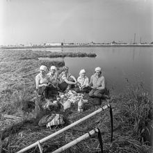 Уборка травы | ЖКХ. 1983 г., г.Северодвинск. Фото #C11873.