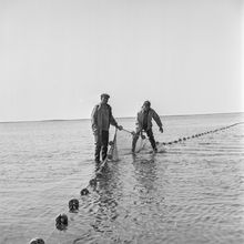 Лов рыбы | Горожане. 1983 г., г.Северодвинск. Фото #C11932.