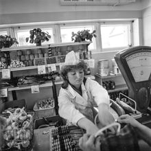 Продавец овощного магазина | Торговля. 1983 г., г.Северодвинск. Фото #C2312.