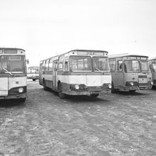 Стоянка городских рейсовых автобусов | Транспорт. 1984 г., г.Северодвинск. Фото #C1330.