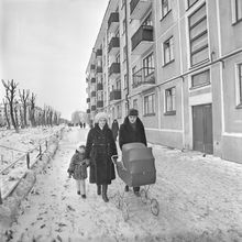 Семья на прогулке | Горожане. 1984 г., г.Северодвинск. Фото #C1487.
