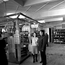 Магазин, отдел электротоваров | Торговля. 1984 г., г.Северодвинск. Фото #C1239.