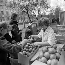 Продажа овощей, фруктов | Торговля. 1986 г., г.Северодвинск. Фото #C15001.