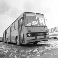 Автобус | Транспорт. 1987 г., г.Северодвинск. Фото #C11008.
