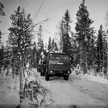 МАЗ - лесовоз | Транспорт. 1987 г., г.Северодвинск. Фото #C13278.