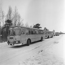 Детский автобус | Транспорт. 1987 г., г.Северодвинск. Фото #C12300.