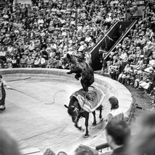 Цирковое выступление | Культура. 1987 г., г.Северодвинск. Фото #C10869.