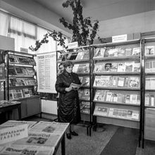 В библиотеке | Культура. 1987 г., г.Северодвинск. Фото #C12337.
