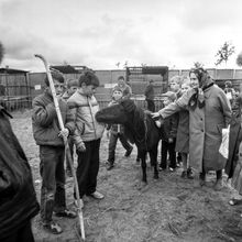 В передвижном зверинце | Культура. 1987 г., г.Северодвинск. Фото #C8213.