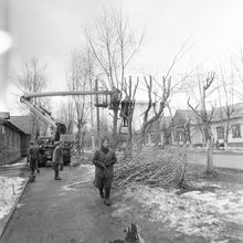 Обрезка деревьев с автовышки | ЖКХ. 1987 г., г.Северодвинск. Фото #C13391.