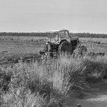 На полях  | ЖКХ. 1987 г., г.Северодвинск. Фото #C11115.