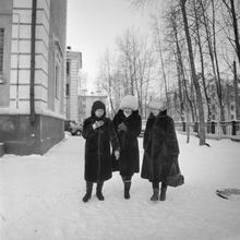 Горожане. 1987 г., г.Северодвинск. Фото #C13407.