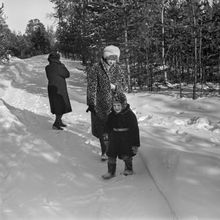 На прогулке в Ягринском бору | Горожане. 1987 г., г.Северодвинск. Фото #C14840.