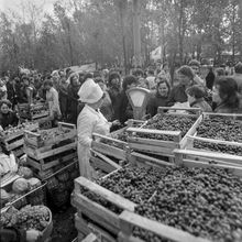 Уличная торговля | Торговля. 1987 г., г.Северодвинск. Фото #C8393.