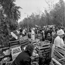 Осенняя ярмарка | Торговля. 1987 г., г.Северодвинск. Фото #C11429.