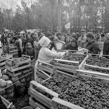 Осенняя ярмарка | Торговля. 1987 г., г.Северодвинск. Фото #C11430.