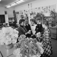В кабинете домоводства | Школа. 1987 г., г.Северодвинск. Фото #C8428.