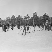Лыжные гонки | Спорт. 1987 г., г.Северодвинск. Фото #C8461.