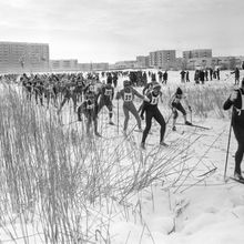 Соревнование производственных коллективов на ягринской лыжне | Спорт. 1987 г., г.Северодвинск. Фото #C12567.