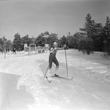 Лыжные гонки | Спорт. 1987 г., г.Северодвинск. Фото #C8481.